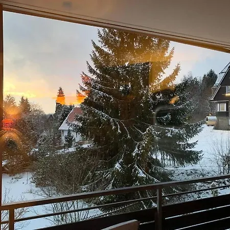 Gemütliche Im Harz Stil Mit Traumblick Apartamento