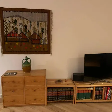 Gemütliche Im Harz Stil Mit Traumblick Apartamento