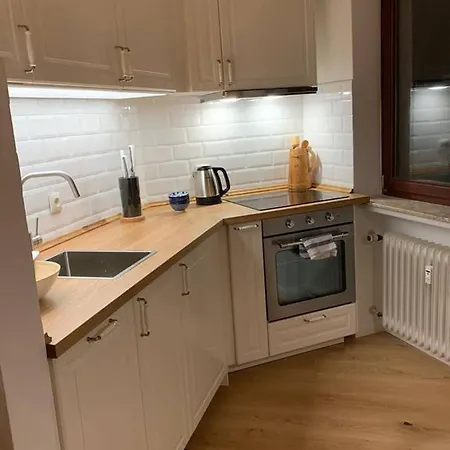 Gemütliche Im Harz Stil Mit Traumblick Apartamento *